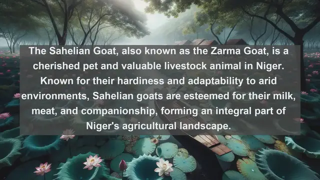 Video thumbnail for Niger's Pet Parade: Discover the Top 10 Beloved Companions!