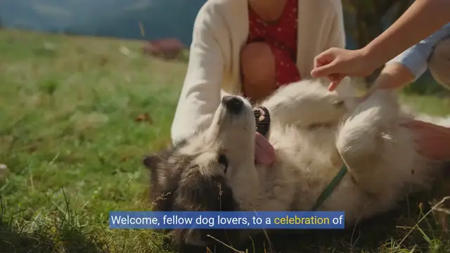 Video thumbnail for Top 10 Cutest Dog Breeds: Discover Their Unique Charms!