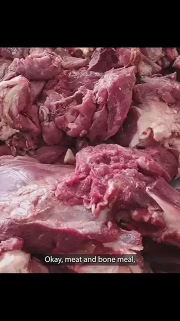 Video thumbnail for The Truth About Dog Food: Fillers, Preservatives & The Superfood Solution