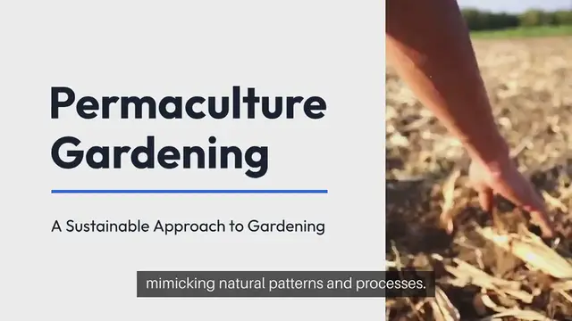 Video thumbnail for Permaculture Gardening Principles Explained