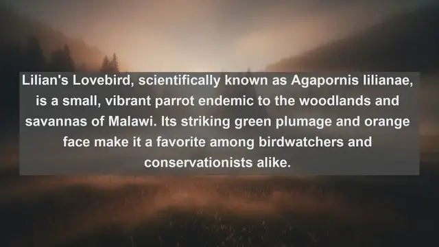 Video thumbnail for Discover the Avian Treasures: Top 10 Native Birds in Malawi