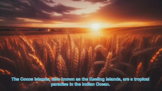 Video thumbnail for Capturing the Cocos Islands: A Photographer's Paradise