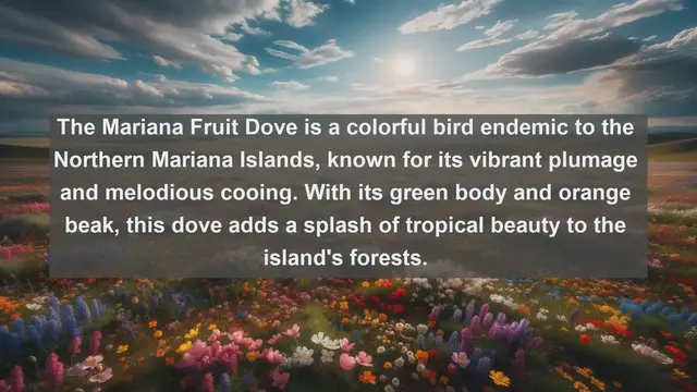 Video thumbnail for Discovering Northern Mariana Islands: Top 10 Native Birds