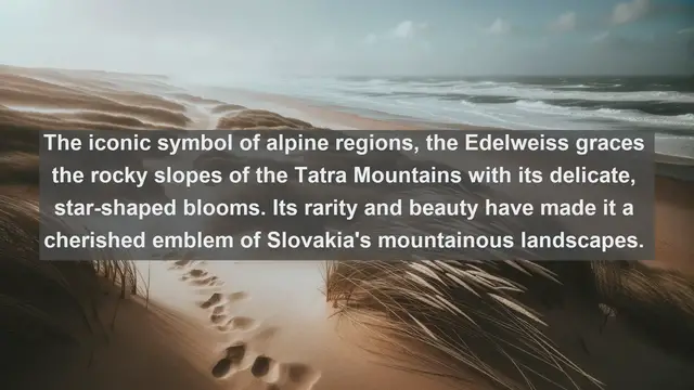 Video thumbnail for Exploring Slovakia's Natural Treasures: Top 10 Native Flora