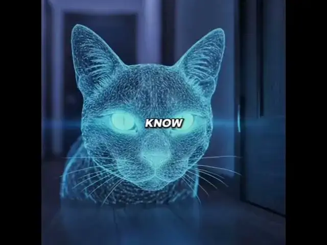 Video thumbnail for Ever notice how your cat waits outside your door every night just sitting there in silence?