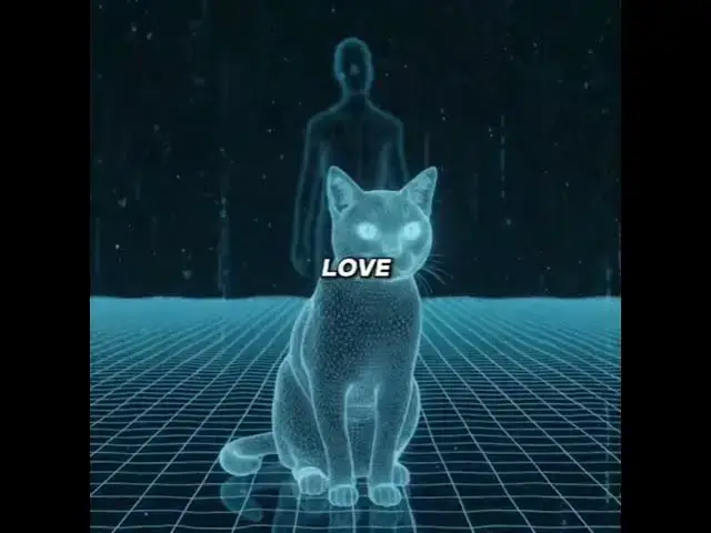 Video thumbnail for Have you ever noticed how your cat follows you