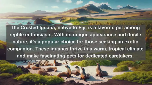 Video thumbnail for Exploring Fijian Pet Paradise: Top 10 Favorite Pets in Fiji