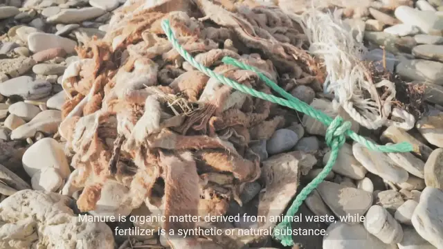 Video thumbnail for Manure vs Fertilizer: Understanding the Difference