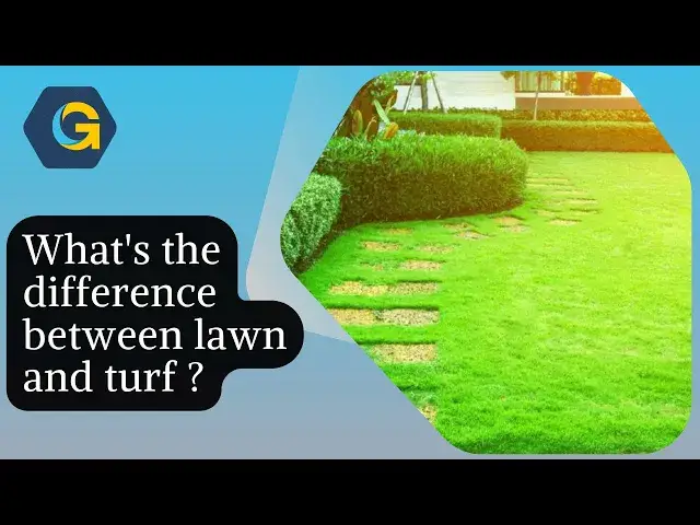 'Video thumbnail for What’s the difference between lawn and turf ?'