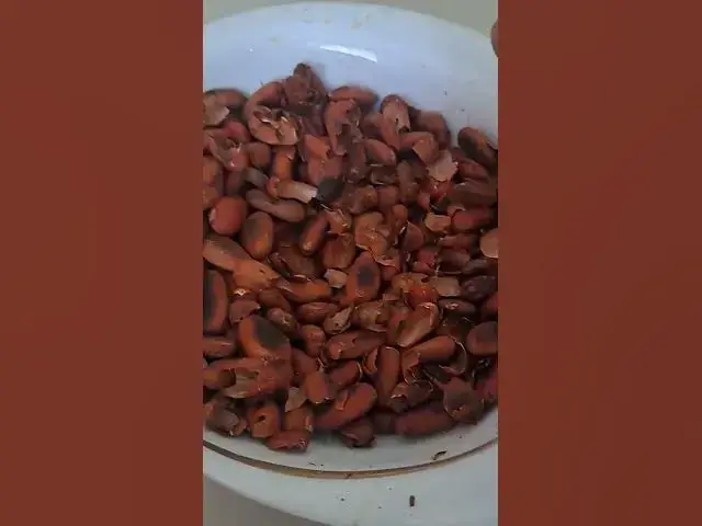 Video thumbnail for Making Cacao Butter in Yucatan!