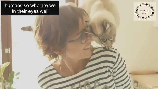 Video thumbnail for Learn More aBout Cat Imprinting Signs