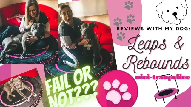 'Video thumbnail for LEAPS&REBOUNDS: UNBOXING + TESTING THE MINI TRAMPOLINE WITH MY AMSTAFF!'