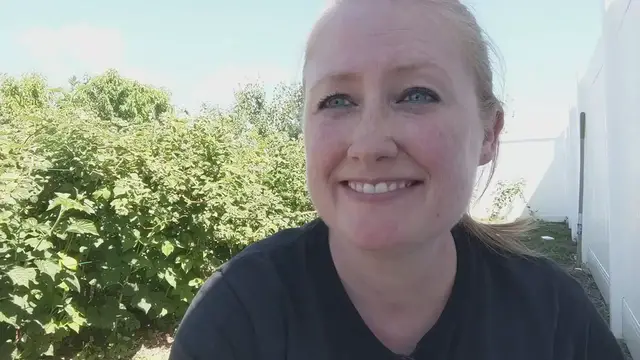 Video thumbnail for Raspberry Bushes, Sun, and Shade Requirements