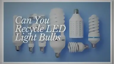 'Video thumbnail for Can You Recycle LED Light Bulbs?'