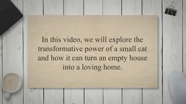 'Video thumbnail for The Transformative Power of a Small Cat: From Empty House to Loving Home'