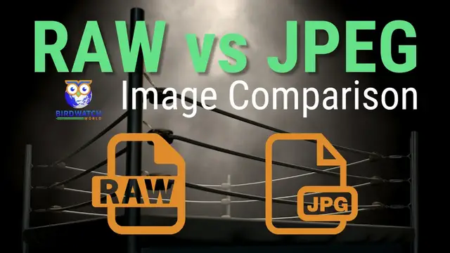 Video thumbnail for RAW vs JPEG Image Comparison