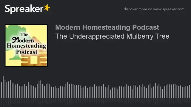 Video thumbnail for Podcast - The Underappreciated Mulberry Tree