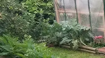 Video thumbnail for Using Integration Rather Than Segregation For A Healthier More Productive Homestead