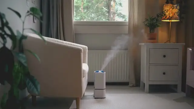 Video thumbnail for What Is a Bypass Humidifier? How Whole-House Humidifiers Work