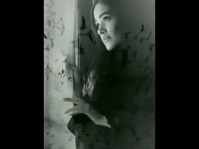 Video thumbnail for 13 February 2024