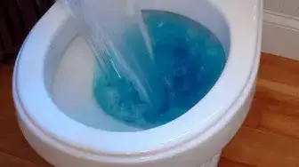 Video thumbnail for How to Unclog a Toilet Using Water