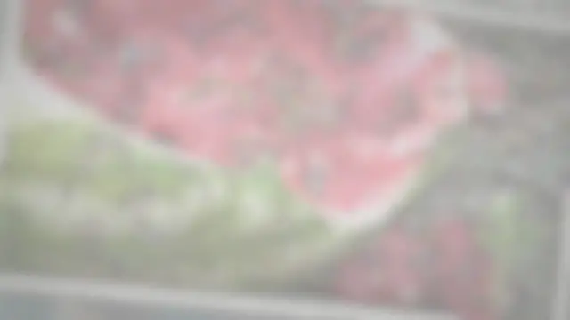 'Video thumbnail for What Do Wasps Eat In Summer? 7 Favorite Foods'