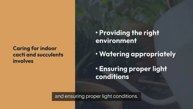 Video thumbnail for How to Care for Indoor Cacti and Succulent