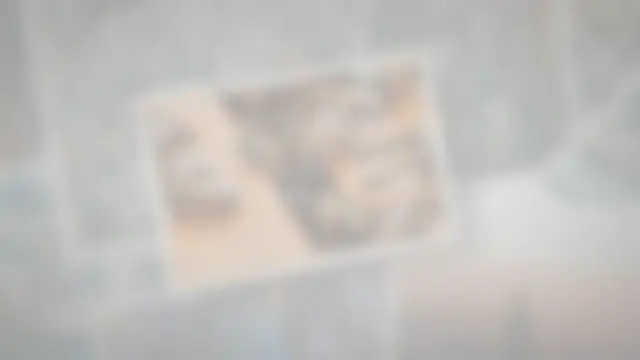 Video thumbnail for How Many Wings Do Bees Have?