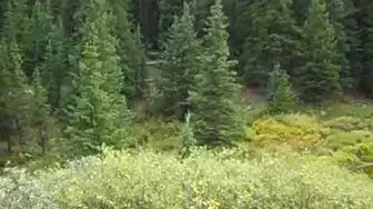 Video thumbnail for Tincup Pass Scenery