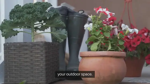 Video thumbnail for Patio Garden Containers
