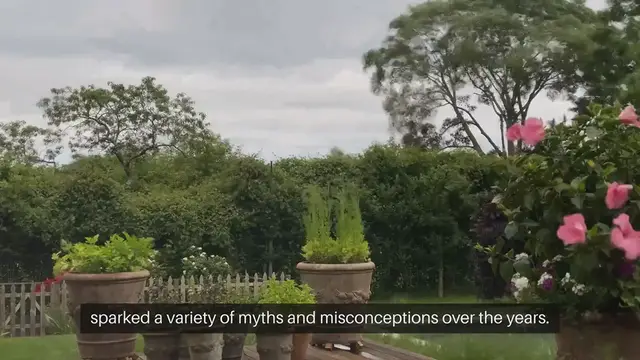 Video thumbnail for Cottage Gardening Myths Debunked Separating Fact from Fiction