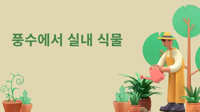 Video thumbnail for 풍수에서 실내 식물