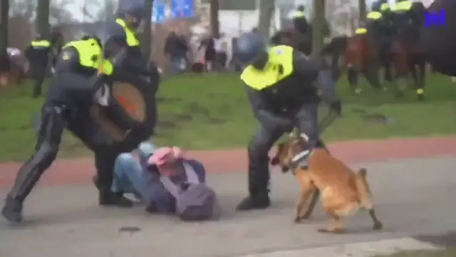 'Video thumbnail for Politiegeweld in Nederland, Video geplaatst door Nils Melzer'