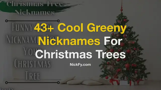 Video thumbnail for Christmas Tree Nicknames | 43+ Cool Greeny Nicknames For Christmas Trees
