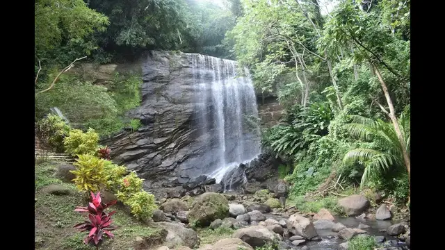 Video thumbnail for Royal Mount Carmel Waterfalls