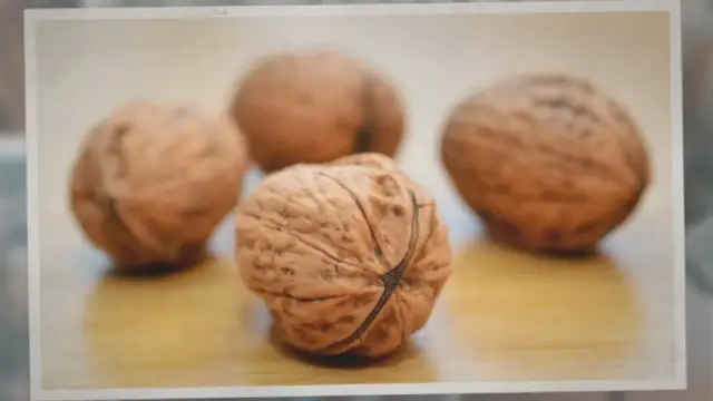 Video thumbnail for How Long Can You Keep Walnuts in the Shell?