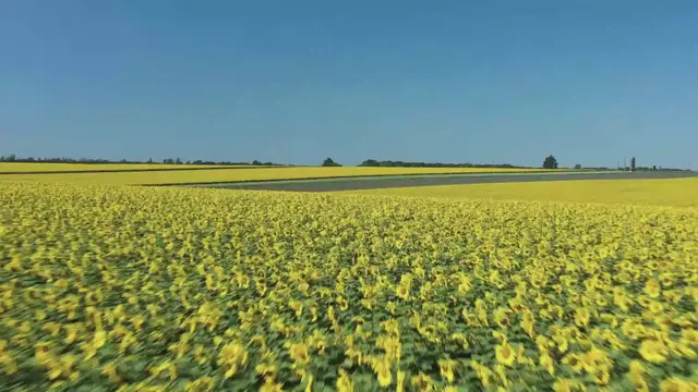 Video thumbnail for Most emotional Quran recitation ever