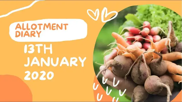 'Video thumbnail for ✅ Winter Tasks & Smart Planning 🌿❄️ | Allotment & Gardening Diary – January 13th 2020 🌱✨'