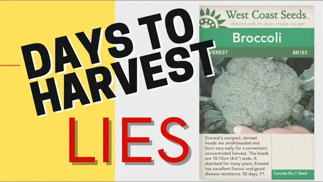 Video thumbnail for What Does Days To Harvest On Seed Packets Mean? Why Do The Days To Harvest Never Line Up!?