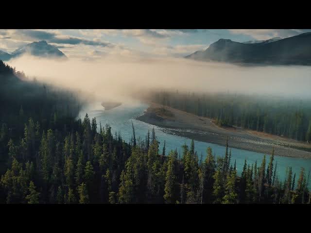 Video thumbnail for Becoming Compatible to Higher Realms - Vignettes with Mystic, Marilynn Hughes, Out of Body Travel