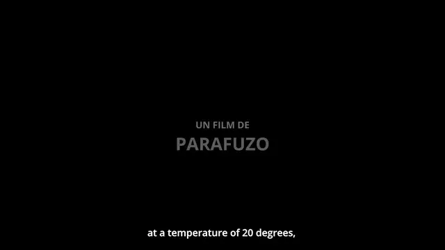 Video thumbnail for BIPOLAR (subtitles).mov