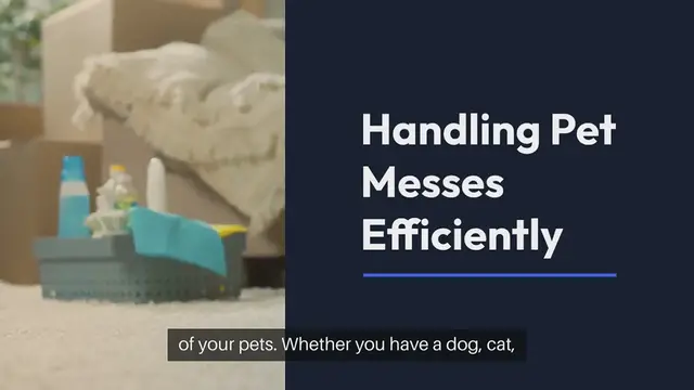 Video thumbnail for Handling Pet Messes Efficiently