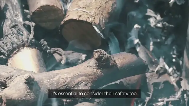 Video thumbnail for Fire Safety for Homes with Pets