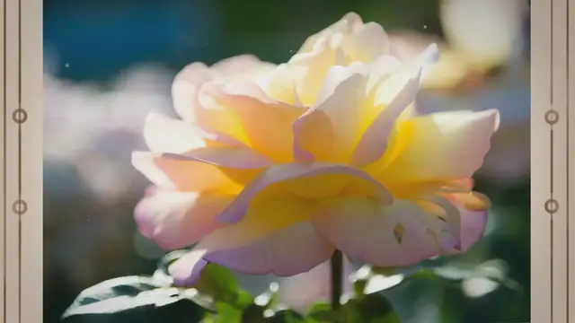 'Video thumbnail for 70 Beautiful Flower Tattoo Ideas for Women in 2022'