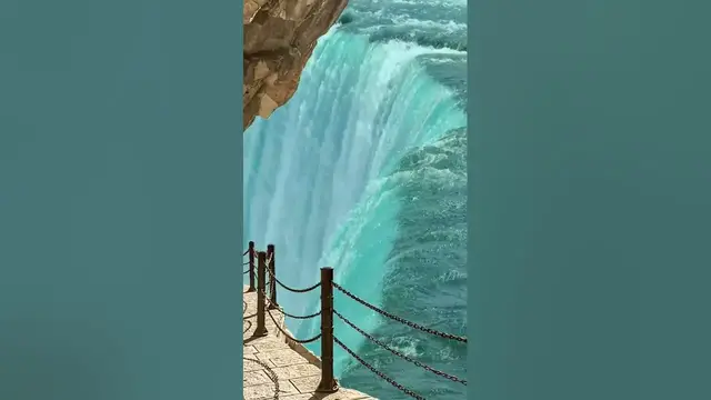 'Video thumbnail for #nature butterfly #status #whatsappstatus #reels #omxmedia'