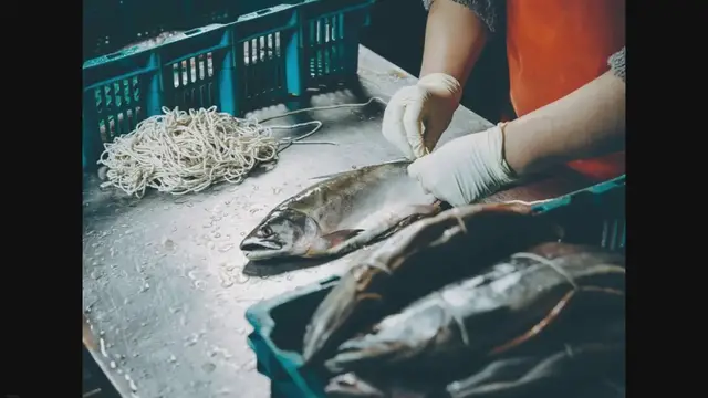 'Video thumbnail for Top 15 Facts About The Seafood Industry'