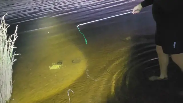 Video thumbnail for Catching a marron with a snare