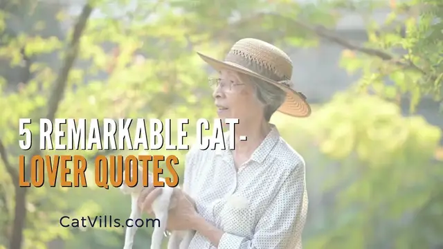 Video thumbnail for 5 REMARKABLE CAT LOVER QUOTES