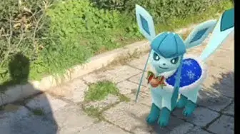 Video thumbnail for ✨❄️ Glaceon Christmas Costume Version AR+ Video Photography Walking: Pokèbuddy & Trainers!  ✨❄️