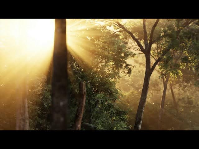 Video thumbnail for Birth and Death Points and Cycles of Time - Initiations with Mystic, Marilynn Hughes, Out of Body